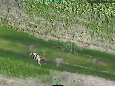 Dead Russians comp (June 29, 2025). 