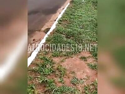 Muay Thai master immobilizes two pitbulls after being attacked