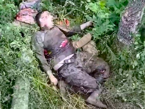 Comp: Pound, Shred, Slash & Vegetize the Russian