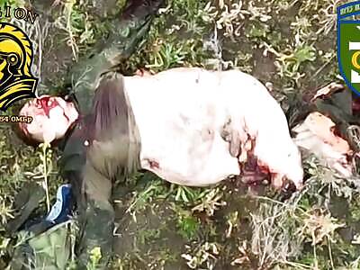 Russian invader is stripped and torn apart.