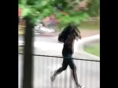 2 seperate bitch fights