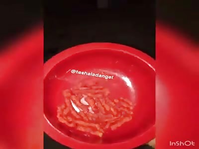 snack time in da hood