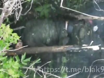 Dead Russians comp (July 5, 2025)