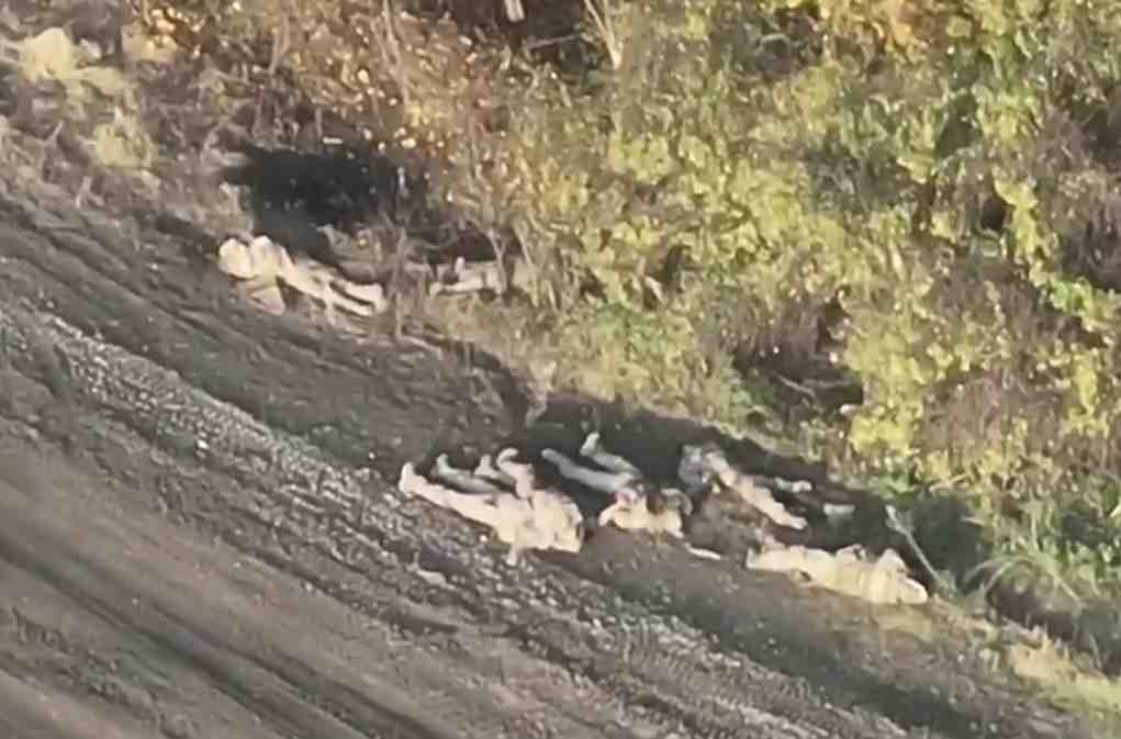 Ukrainians sleeping after a tiring day -10