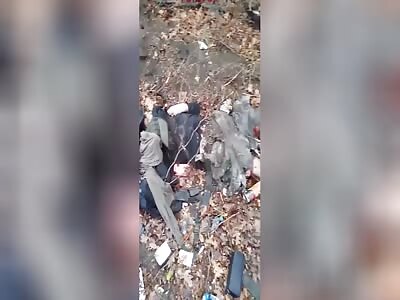 The VAMPIRE drone visited the vatniks.