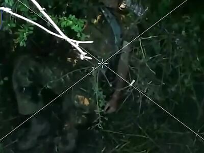 Dead Russians comp (July 11, 2025)