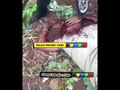 neighborhood block party