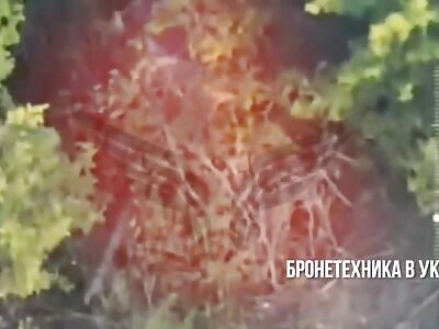 Rubicon is operating