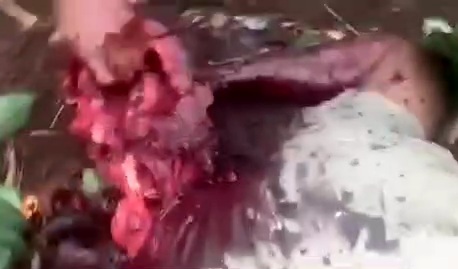 Viking gang member head shopped off with machete 