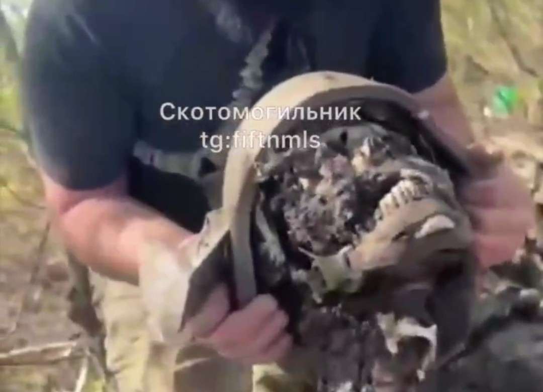 Chechens discover a mass grave of Ukrainians in Kursk. 