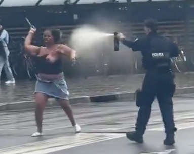 Lunatic black woman with a huge knife try to stabb to police officer 