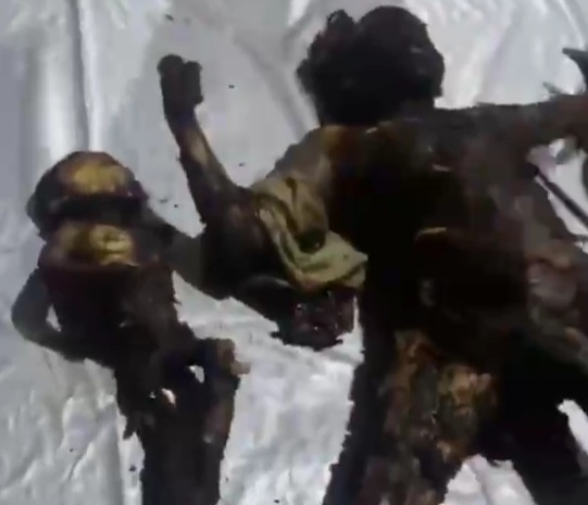 Calcinated dead bodies of all family members after a house burned 