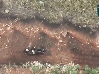 Dead Russians comp II (July 18, 2025)