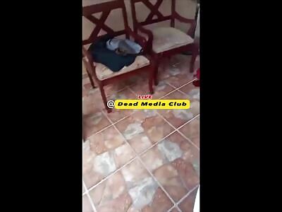 kitchen became a live firing range