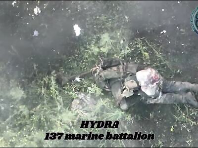 Some great hits on the Russians.