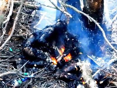 Mass slaughter of Norks in Kursk.