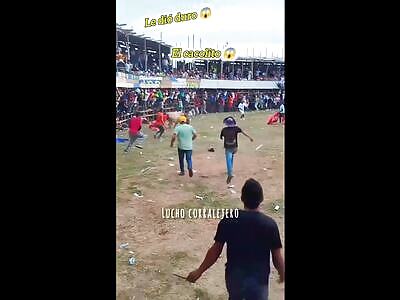 new revenge of the bulls compilation