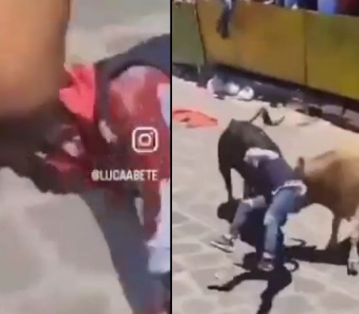 [TWO ANGLE] Painful Encounter With a Bull.