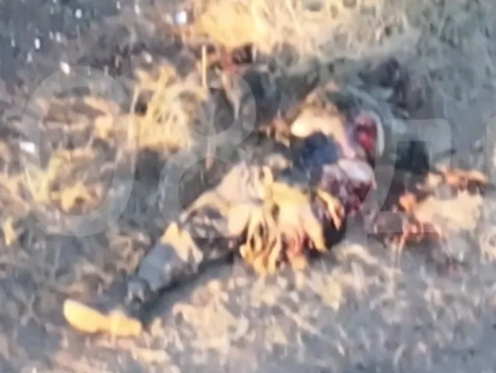 Went for a walk lost leg