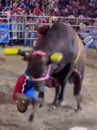FUCKED , BULLFIGHTER HAVE A BAD DAY 