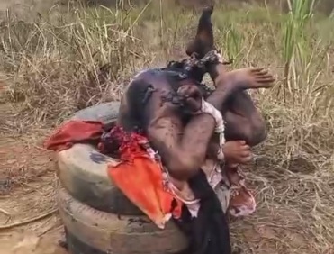 BARBECUE FROM THE LAST NIGHT 