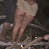 TREE FALLS ON TOP OF BROTHEL