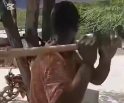 Thief captured tied to a tree and punished hard 