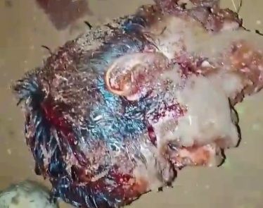 Young man involved in drug traffic was found butchered by rivals 