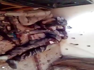 dead rats from tunisia 