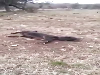 Not a place you want get stuck 