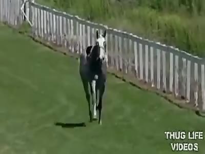 OMG, WHAT WAS SHE THINKING?!