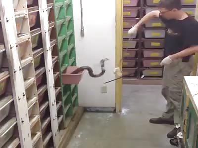 What is the salary required to work in this job?