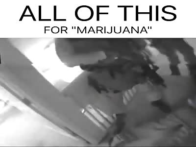 National Guard, DEA, State Police Raid 81-yo Cancer Patientâ€™s Organic Garden to â€œProtectâ€ You 