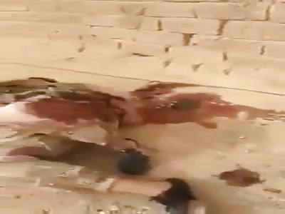  Isis city under attack from Iraqi and Kurdish forces 