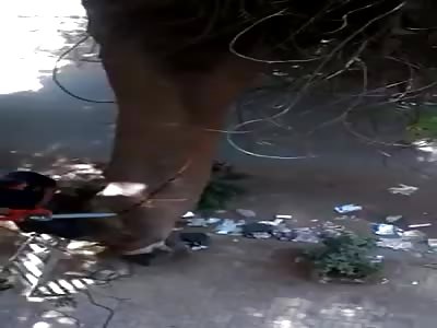  Stupidity at its finest