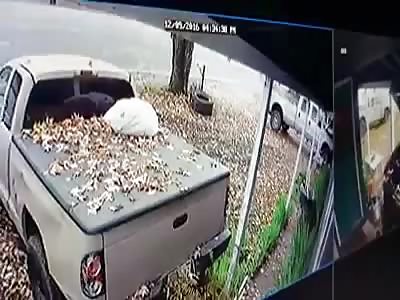 Elderly lady falls asleep at wheel & hits tree