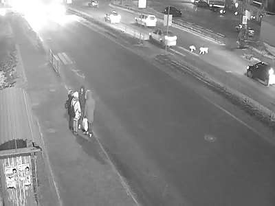 Two Dogs Run Over On Zebra Crossing