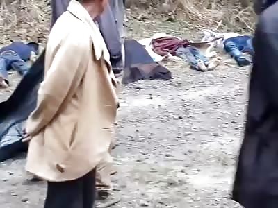 Manipur: 12 Killed as bus falls into stream