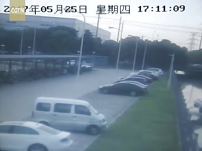 Passers-by save driver who backed her car into river