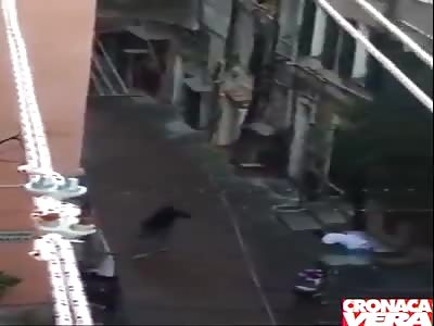 Muslim Migrants Launch into a Riot in San Remo, Italy, Attack Italians, Smash Windows