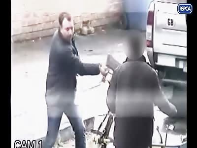 Man caught carrying out horrifying attack on horse