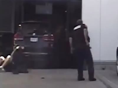 Man pleads guilty after 13 bullets send two officers to the hospital 