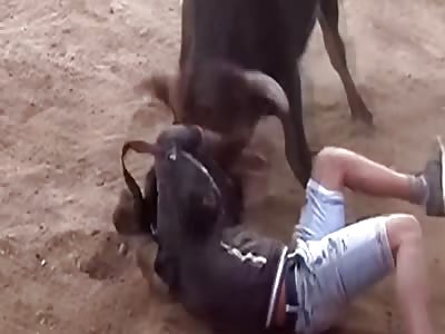 Bulls viciously attack participants at festival