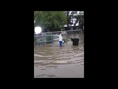 A NEW LEVEL OF STUPIDITY