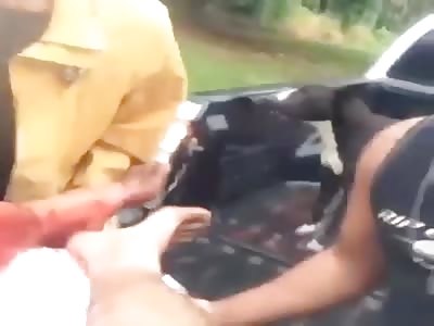 man suffer sharks attack wound