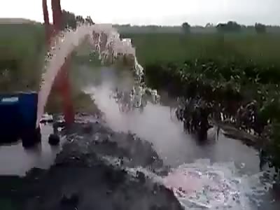 thief die drowned in fuel