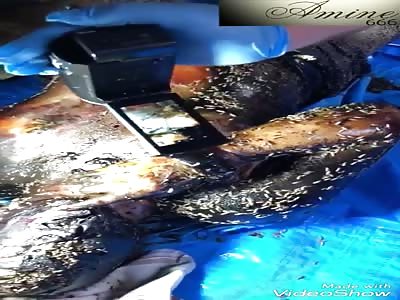 turkish dead man found after 10 days in his house