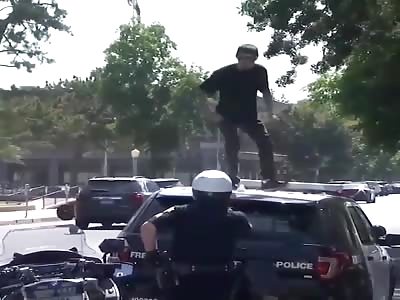 REBEL WITHOUT A CAUSE