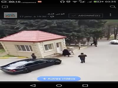 crazy blonde with big knife want to kill here cheating husband