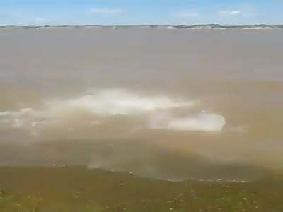 Feeding piranhas! They're like machine guns! Geez